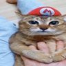 Фото профиля never stop believing mario