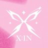 X:IN Mirror's profile picture