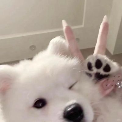 _HotRe_'s profile picture