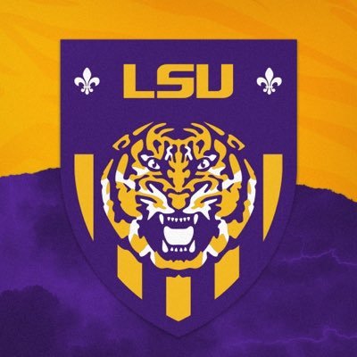 LSUSoccer's profile picture