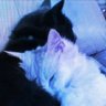 Profilbild von sawyer