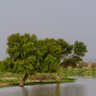 Krnal Mev's profile picture