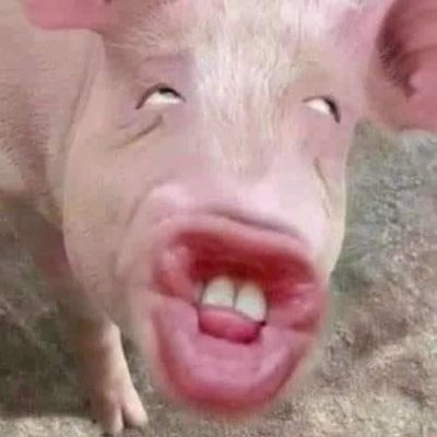 kepaIasuku's profile picture