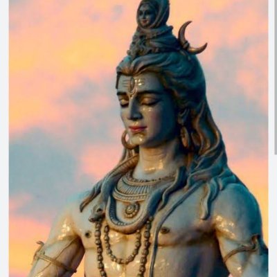 Ritu Shahpura's profile picture