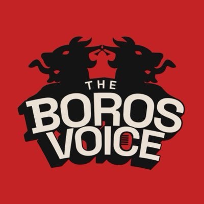 theborosvoice's profile picture