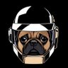 Daftpug profil fotoğrafı