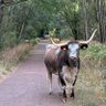 Profilbild von Cluster Bucks