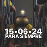 #IniestaBDO 🇨🇴 's profile picture