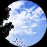 . profil fotoğrafı