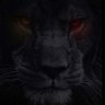 Profilbild von The Black Lion