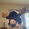BigMooseEnergy 的头像