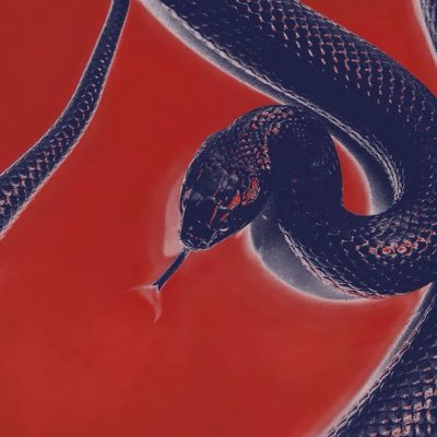 xxNANAml's profile picture