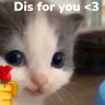 Retroven's profile picture