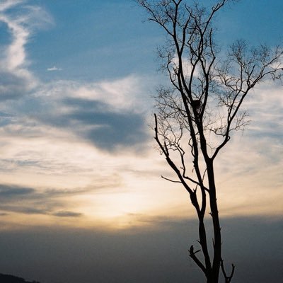 เมนัน🌞 — รอ pilot's profile picture
