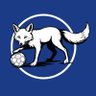 Profilbild von For Fox Sake