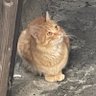 Medaca profil fotoğrafı