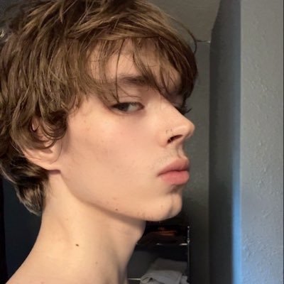 horsecouck's profile picture