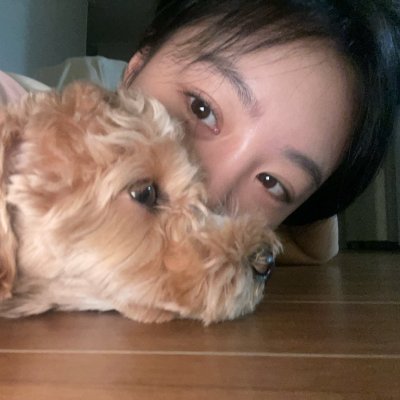 nwesvis's profile picture