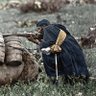 Jaysh al-Rifi profil fotoğrafı