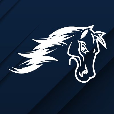 TheWoodsHoops's profile picture