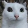 小璃魍ᕙ( •̀ ᗜ •́ )ᕗ profil fotoğrafı