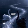 Фото профиля صفر