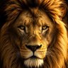 Profilbild von Collins