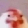 nuttchicken🇮🇷👬🏿👬🏿🏎️💨's profile picture