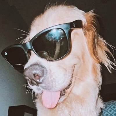irem's profile picture