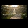 Hassan Mohammad's profile picture
