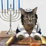 YAEL โก๐'s profile picture
