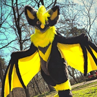 AkiraSwoops's profile picture