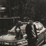 Oğulcan 🥝🧟 profil fotoğrafı