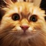 Profilbild von player 2