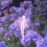 ✳🍄🧚🏼♀️ 𝓃𝒶𝓉𝓎 🧚🏼♀️🍄✳'s profile picture