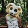 lemon drop 🍋 furry 🔜MEGAPLEX profil fotoğrafı