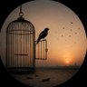 پرنده ی بی پر profil fotoğrafı