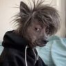 Profilbild von MTA419