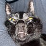 Profilbild von leti
