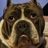 Profilbild von JM 🦍