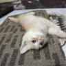 จุ๊ๆ 的头像
