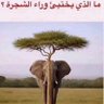 يزيد 的头像