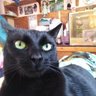 Profilbild von Milica Vuk