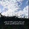Ayah Al_noor's profile picture