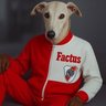 Profilbild von factus