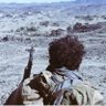 Profilbild von سيف القائد