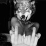 Josh's profile picture