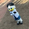 Profilbild von べべ