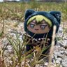 ちゃんやお profil fotoğrafı