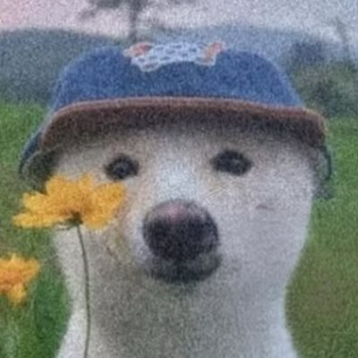 얼렁뚝딱이's profile picture